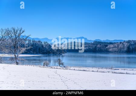 Deutschland, Bayern, Pfaffenwinkel, Iffeldorf, Großer Ostersee, Blick auf das gut Aiderbichl in Richtung Alpen Stockfoto