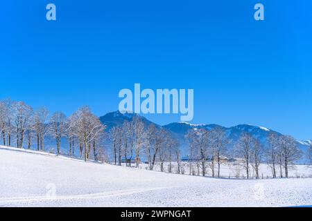 Deutschland, Bayern, Tölzer Land, Isarwinkel, Wackersberg, Winterlandschaft am Fuße der Alpen, Blick in der Nähe von Bach Stockfoto