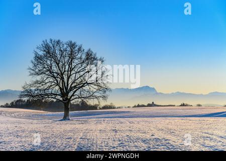 Deutschland, Bayern, Tölzer Land, Münsing, Winterlandschaft gegen Zugspitzmassiv mit St. Johann Baptistenkirche in Holzhausen Stockfoto