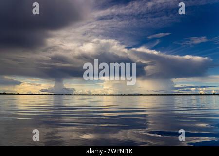 Brasilianischer Regenwald, Bootstour auf dem Amazonasgebiet auf einem Boutique-Schiff (MS Janganda) - Flussfahrt Stockfoto