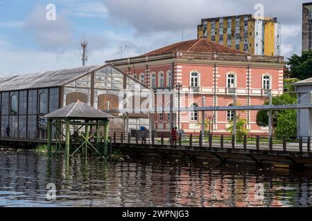 Manaus - brasilianischer Regenwald, Bootstour auf dem Amazonasgebiet auf einem Boutique-Schiff (MS Janganda) - Flussfahrt Stockfoto