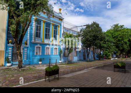 Manaus - brasilianischer Regenwald, Bootstour auf dem Amazonasgebiet auf einem Boutique-Schiff (MS Janganda) - Flussfahrt Stockfoto