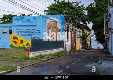 Manaus - brasilianischer Regenwald, Bootstour auf dem Amazonasgebiet auf einem Boutique-Schiff (MS Janganda) - Flussfahrt Stockfoto