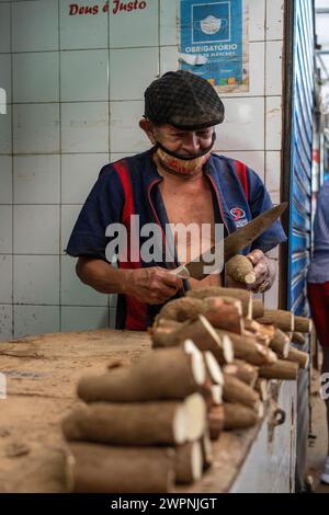 Manaus - brasilianischer Regenwald, Bootstour auf dem Amazonasgebiet auf einem Boutique-Schiff (MS Janganda) - Flussfahrt Stockfoto