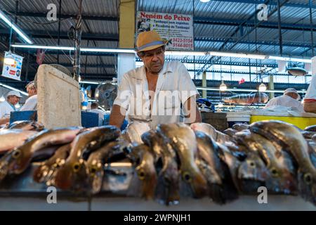 Manaus - brasilianischer Regenwald, Bootstour auf dem Amazonasgebiet auf einem Boutique-Schiff (MS Janganda) - Flussfahrt Stockfoto