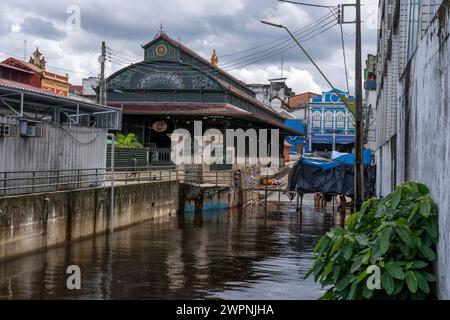 Manaus - brasilianischer Regenwald, Bootstour auf dem Amazonasgebiet auf einem Boutique-Schiff (MS Janganda) - Flussfahrt Stockfoto