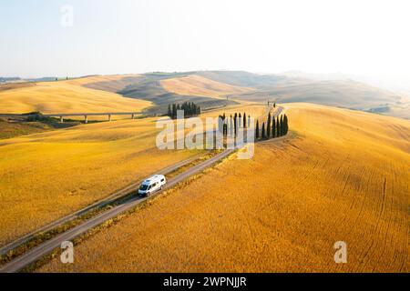 Toskana Pössl Van Paneel van Tree Avenue Stockfoto