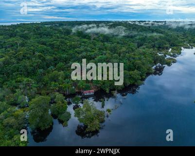 Brasilianischer Regenwald, Bootstour auf dem Amazonasgebiet auf einem Boutique-Schiff (MS Janganda) - Flussfahrt Stockfoto