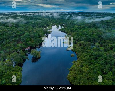 Brasilianischer Regenwald, Bootstour auf dem Amazonasgebiet auf einem Boutique-Schiff (MS Janganda) - Flussfahrt Stockfoto