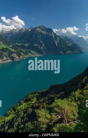 Blick vom Seelisberg über den Vierwaldstättersee zum Bristenstock, Kanton URI, Schweiz Stockfoto