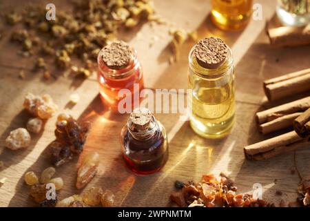 Flaschen ätherischer Aromatherapie-Öle mit Weihrauch- und Myrrhenharz, Zimt und getrockneten Kräutern Stockfoto