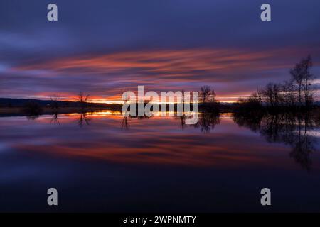 Vogelschutzgebiet Ammersee-Südufer, Hochwasser, Sonnenaufgang, Ammersee, Dießen, Oberbayern, Bayern, Deutschland Stockfoto