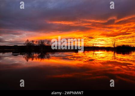 Vogelschutzgebiet Ammersee-Südufer, Hochwasser, Sonnenaufgang, Ammersee, Dießen, Oberbayern, Bayern, Deutschland Stockfoto