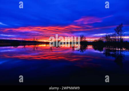 Vogelschutzgebiet Ammersee-Südufer, Hochwasser, Sonnenaufgang, Ammersee, Dießen, Oberbayern, Bayern, Deutschland Stockfoto