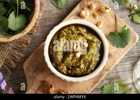 Eine Schüssel Pesto-Sauce aus frischen jungen Knoblauchsenfblättern - eine wilde essbare Pflanze, die im Frühjahr geerntet wird Stockfoto