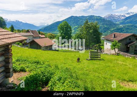 Maienfeld, Heididörfli (Heididorf) im Weiler Rofels in Bündner Herrschaft, Graubünden, Schweiz Stockfoto