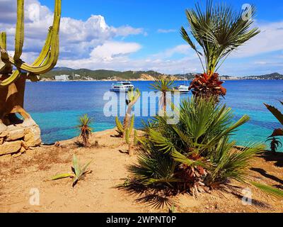 Mallorca, Cala Fornells, Blick von Cala Fornells auf die Bucht von Paguera und die Küste, Stockfoto