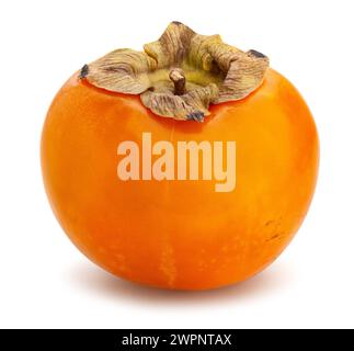 Persimmon Pfad isoliert auf weiß Stockfoto