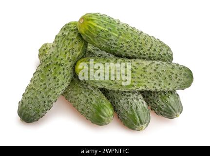 Frischer Gurkenweg isoliert auf weiß Stockfoto