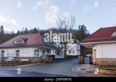 Bad Gottleuba-Berggießhübel, Heilstätte Medianklinik mit 34 Jugendstilbauten in einem 28 ha großen Park am Hang des Hellebergs, Eingang, Sachsen, Deutschland Stockfoto