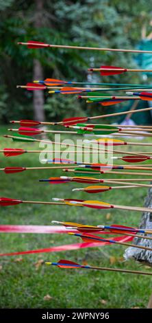 Erfolgreiches Konzept, alle Goldpfeile auf Ziel, Bogenschießen-Sport. Stockfoto