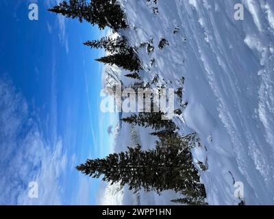 Skigebiet Rosshütte in Seefeld in Tirol, Blick in die verschneite Natur Richtung Mittenwald, Berge, Natur, Aktivität, Sonne, Wolken, blauer Himmel, Tirols Hochplateau, Seefeld, Tirol, Österreich Stockfoto