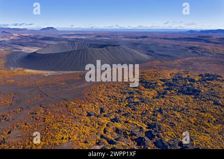 Blick über herbstliche gelbe Birken bis zum Krater des Vulkans Hverfell. Dahinter die Joerundur Stockfoto