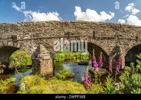 Steinbrücke über den East Dart River in Postbridge, Dartmoor, Devon, England, Großbritannien, Europa Stockfoto