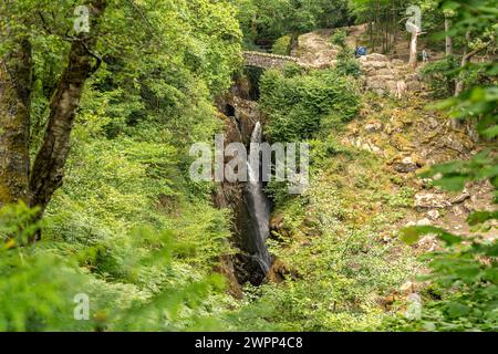 Wasserfall der Aira Force im Lake District, England, Großbritannien, Europa Stockfoto