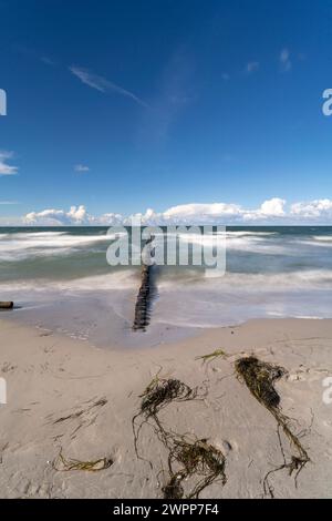 Groynes als Küstenschutz auf der Insel Hiddensee, Mecklenburg-Vorpommern Stockfoto