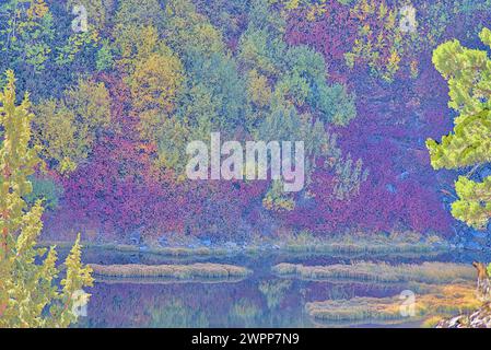 Herbstfarben im Lundy Canyon, Kalifornien Stockfoto