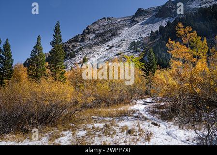 Herbst und Winter im Lundy Canyon mit wechselnden bunten Bäumen und leichtem Schnee auf dem Boden und auf der Bergspitze. Stockfoto