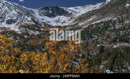 Herbst und Winter im Lundy Canyon mit wechselnden bunten Bäumen und leichtem Schnee auf dem Boden und auf der Bergspitze. Stockfoto