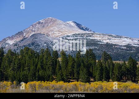 Herbst und Winter im Lundy Canyon mit wechselnden bunten Bäumen und leichtem Schnee auf dem Boden und auf der Bergspitze. Stockfoto