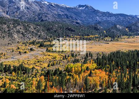 Im Herbst wechselnde Farben im Lundy Canyon, Kalifornien Stockfoto