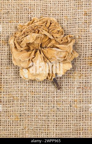 Deko-Set aus Jute-Stoff mit verwelkter Blume, floralem Stillleben, Pflanzenteilen, künstlerisch Stockfoto