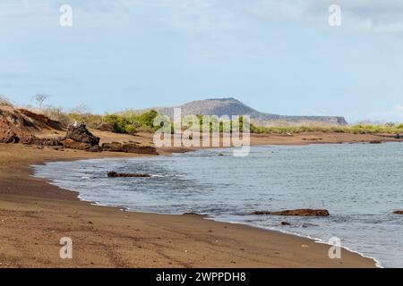 Ein Blick auf den Strand von Punta Cormorant, Floreana Island. Galapagos. Stockfoto