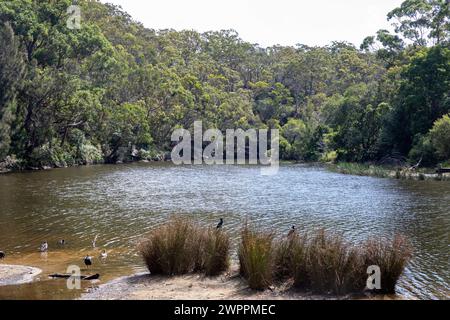 Royal National Park, Australiens erster Nationalpark, mit dem Port Hacking Rove in der Nähe von Audley Village, Sydney, NSW, Australien Stockfoto