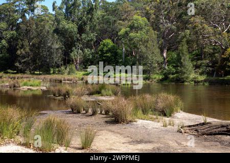 Royal National Park, Australiens erster Nationalpark, mit dem Port Hacking Rove in der Nähe von Audley Village, Sydney, NSW, Australien Stockfoto