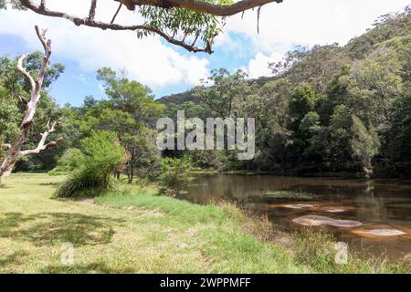 Audley Village im Sydney Royal National Park und Feigenbaumflacher Picknickbereich neben dem Hacking River, New South Wales, Australien Stockfoto