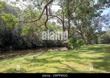 Audley Village im Sydney Royal National Park und Feigenbaumflacher Picknickbereich neben dem Hacking River, New South Wales, Australien Stockfoto