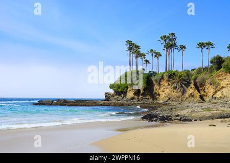 Palmen am Sandstrand von Laguna Beach, Kalifornien, USA Stockfoto