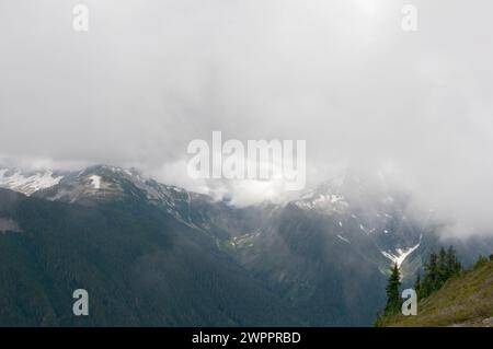 Entlang des Copper Ridge Trail im North Cascades National Park Washington State Stockfoto