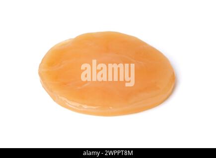 Kombucha machen. SCOBY-Pilz isoliert auf Weiss Stockfoto