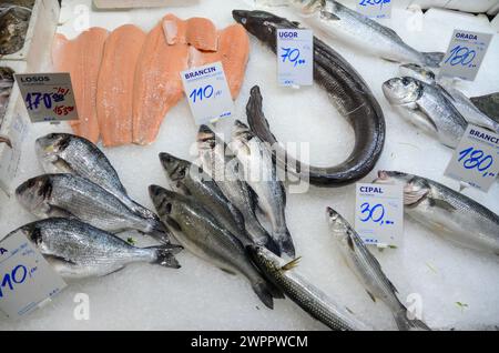 Frischer Meeresfisch auf Eis zum Verkauf auf dem Markt. Fisch Und Meeresfrüchte. Fischhändler verkaufen Fisch und Meeresfrüchte. Fischhändler verkauften frischen Fisch. Anzeige von: Goldkopfbrasse Stockfoto