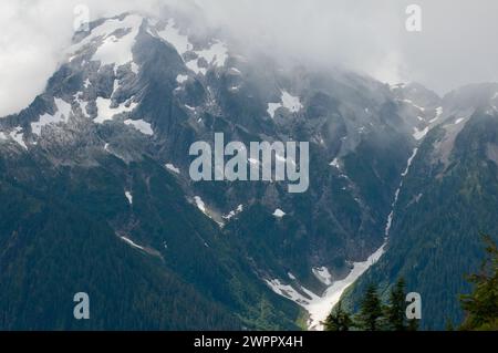 Entlang des Copper Ridge Trail im North Cascades National Park Washington State Stockfoto