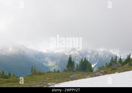 Entlang des Copper Ridge Trail im North Cascades National Park Washington State Stockfoto