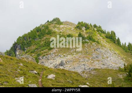 Entlang des Copper Ridge Trail im North Cascades National Park Washington State Stockfoto