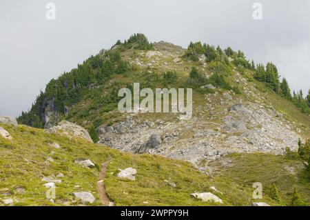 Entlang des Copper Ridge Trail im North Cascades National Park Washington State Stockfoto