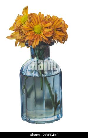 Sonnenblumen und verschiedene Blumen in einer Glasvase angeordnet Stockfoto